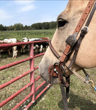 “Tag Em” Headstall ((CUSTOM))