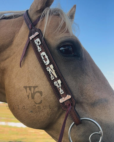 “Pink Pony Club” Headstall